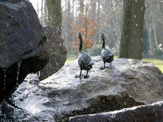 Vakantiepark Bad Bentheim Omgeving 21