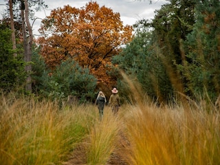 Parco vacanze Heeze-Leende Ambiente 18