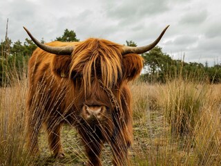 Parque de vacaciones Heeze-Leende  40
