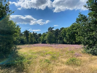 Ferienpark Heeze-Leende Umgebung 31