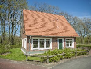 Holiday park Comfortable villa in a traditional style near Bad Bentheim - Bad Bentheim - image1