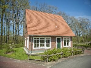 Holiday park Comfortable villa in a traditional style near Bad Bentheim - Bad Bentheim - image1