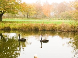 Parco vacanze Bad Bentheim Ambiente 14