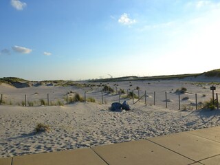 Vakantiepark Westland Omgeving 15