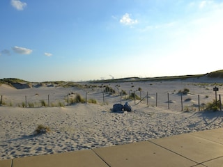 Holiday park Westland Environment 13