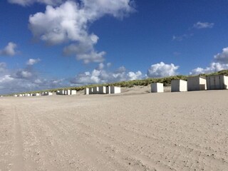 Vakantiepark Westland Omgeving 11