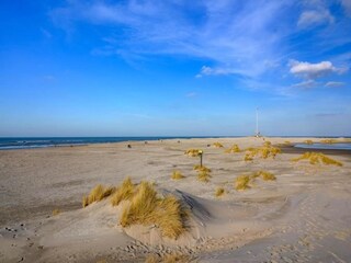 Vakantiepark Westland Omgeving 16