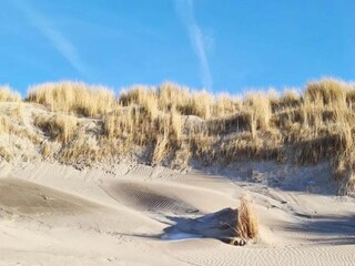 Ferienpark Westland Umgebung 21