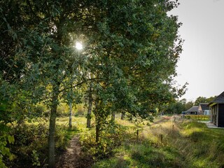 Parc de vacances Heeze-Leende Environnement 26