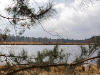 Parc de vacances Heeze-Leende Environnement 19