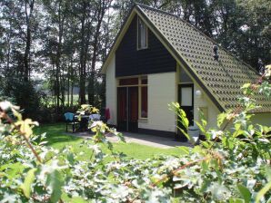 Holiday park Attractive holiday home with large garden - Dalfsen - image1