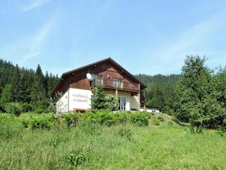Vakantiehuis Radstadt Buitenaudio-opname 3