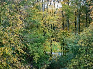 Vakantiepark Vlissingen Omgeving 29