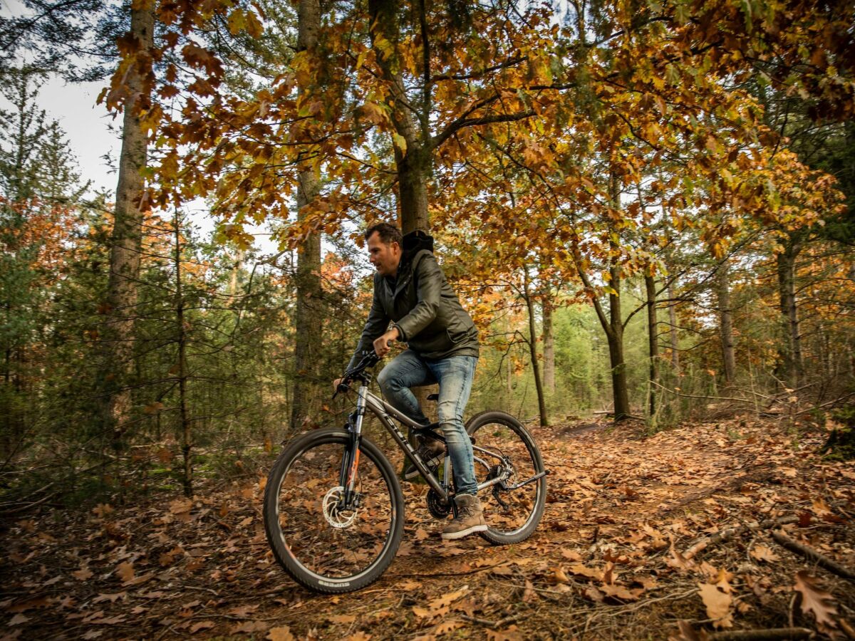 Parco vacanze Heeze-Leende  39