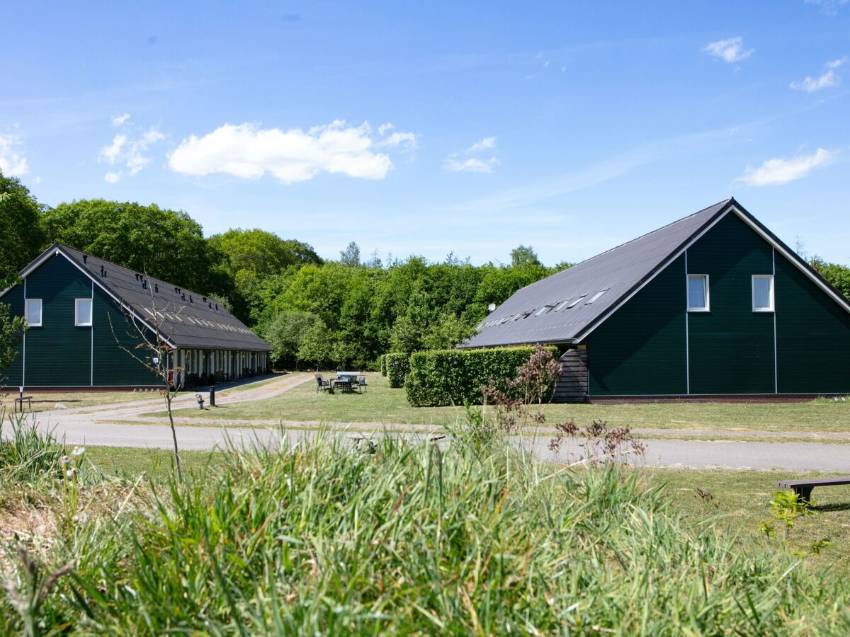 Parco vacanze Rheezerveen Registrazione all'aperto 1