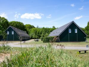 Vakantiepark Aangenaam vakantiehuis met terras - Rheezerveen - image1