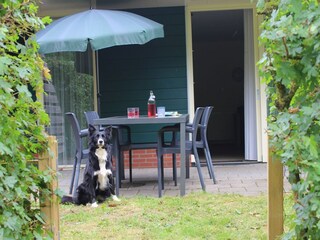 Holiday park Rheezerveen Outdoor Recording 9