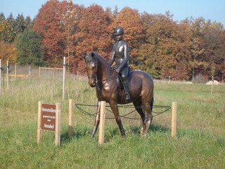 Vakantiepark Rheezerveen Buitenaudio-opname 4