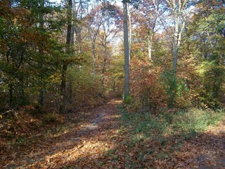Parc de vacances Rheezerveen Environnement 32