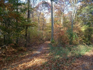 Parco vacanze Rheezerveen Ambiente 32