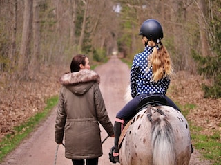 Parco vacanze Rheezerveen  42