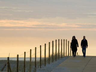 Vakantiepark Westland Omgeving 20