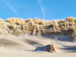 Vakantiepark Westland Omgeving 22