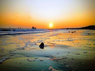 Parc de vacances Vlissingen Environnement 25