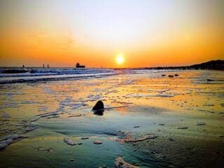 Vakantiepark Vlissingen Omgeving 22