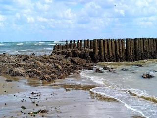 Holiday park Vlissingen Environment 26