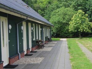 Ferienpark Schönes Haus nur 9 km von van Slagharen entfernt - Rheezerveen - image1