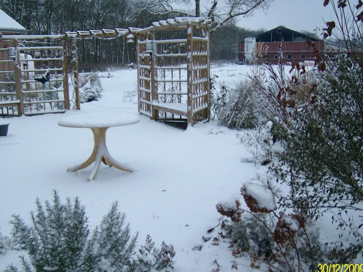 Ferienpark Rheezerveen Außenaufnahme 1