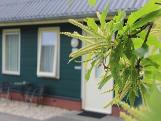 Holiday park Rheezerveen Outdoor Recording 9