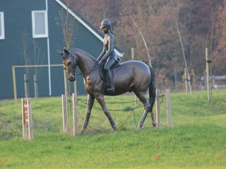Ferienpark Rheezerveen  40
