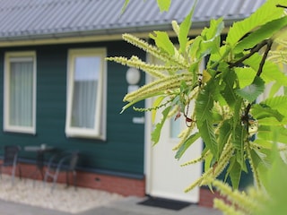 Vakantiepark Rheezerveen Buitenaudio-opname 11