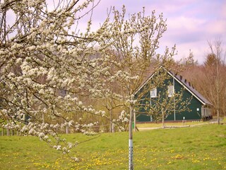 Parco vacanze Rheezerveen Registrazione all'aperto 4