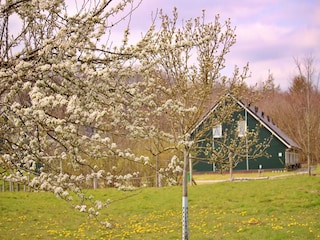 Vakantiepark Rheezerveen Buitenaudio-opname 4
