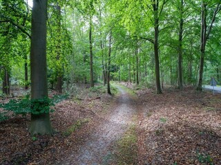 Parc de vacances Rheezerveen Environnement 35
