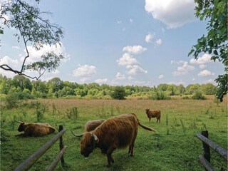 Vakantiepark Rheezerveen Omgeving 31