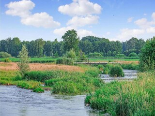 Holiday park Rheezerveen Environment 35