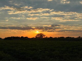 Ferienpark Rheezerveen Umgebung 26