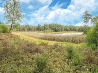 Vakantiepark Rheezerveen Omgeving 36