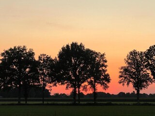 Parc de vacances Rheezerveen Environnement 32