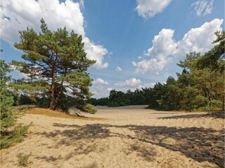 Parc de vacances Rheezerveen Environnement 29