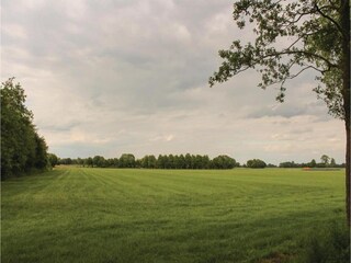 Parc de vacances Rheezerveen Environnement 31