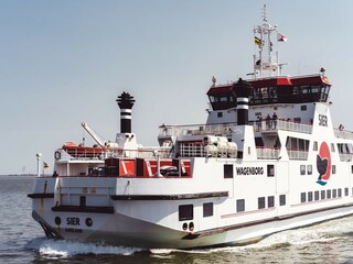 Parco vacanze Hollum Ambiente 9