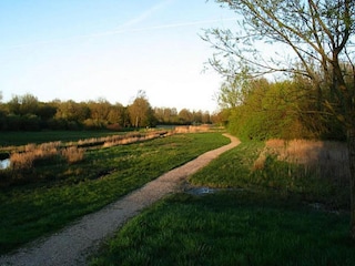 Ferienpark Vlissingen Umgebung 32
