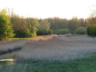 Ferienpark Vlissingen Umgebung 35