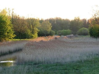 Parco vacanze Vlissingen Ambiente 35