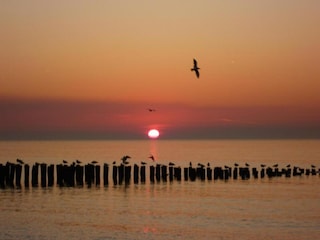Parque de vacaciones Vlissingen Entorno 26